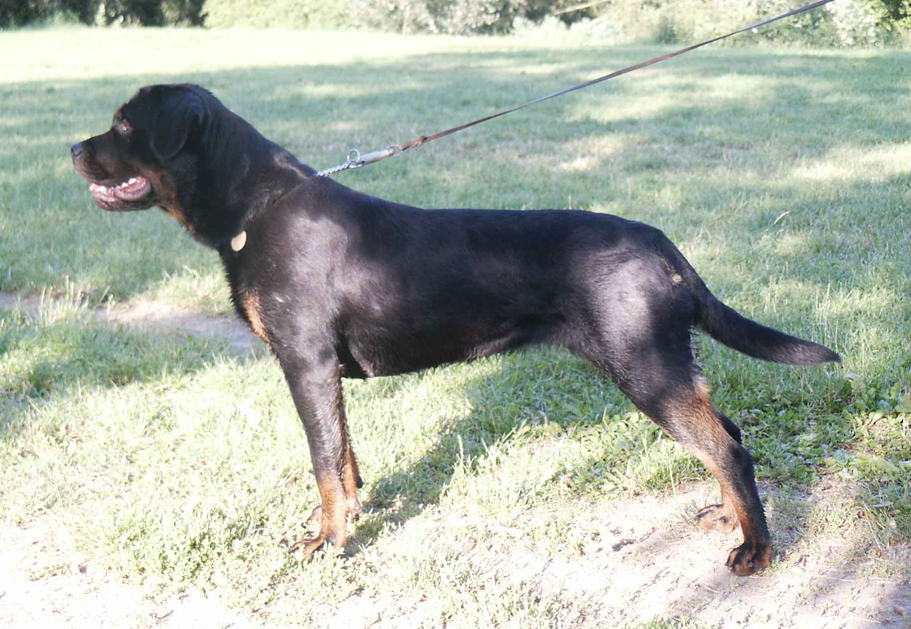 Bea z boku II